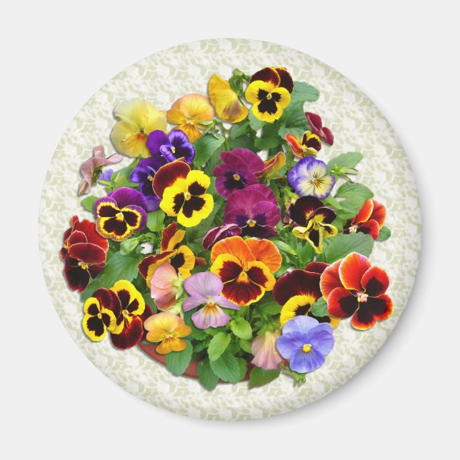 PANSY BEAUTY~ Magnet (Front)