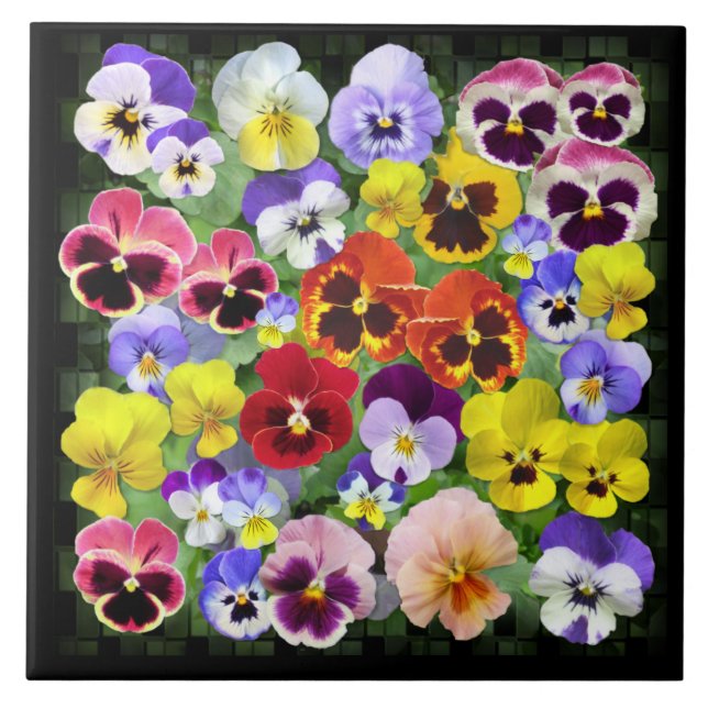 Pansy Beauty Tile (Front)
