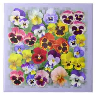 Pansy Beauty Tile