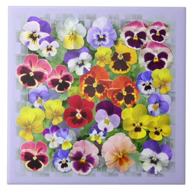 Pansy Beauty Tile (Front)