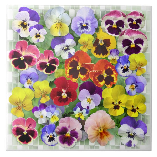 Pansy Beauty Tile (Front)