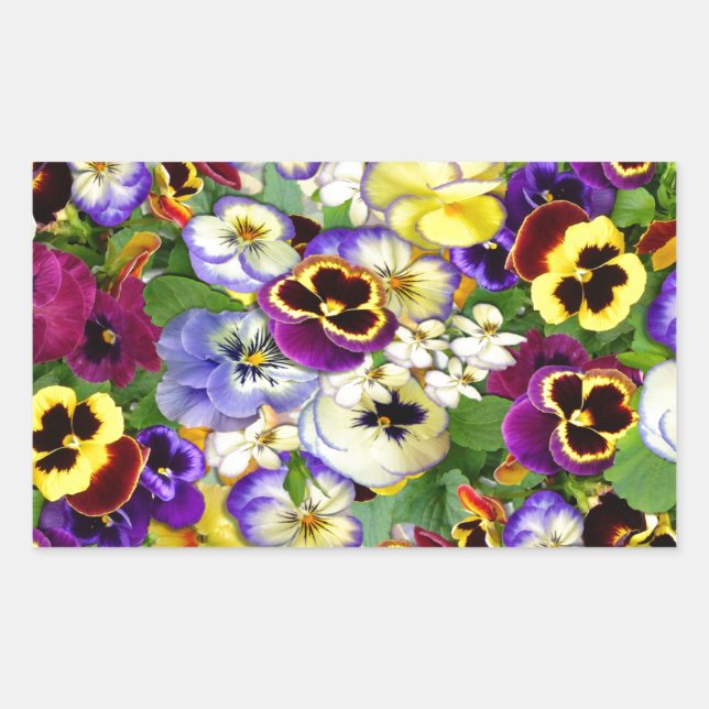 Pansy Cascade Rectangular Sticker (Front)