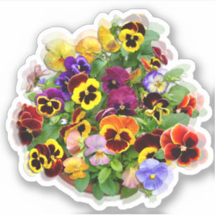 Pansy Display Custom-Cut Vinyl Sticker