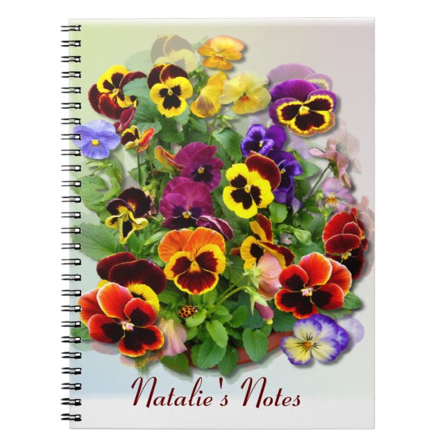 Pansy  Display Notebook (Front)