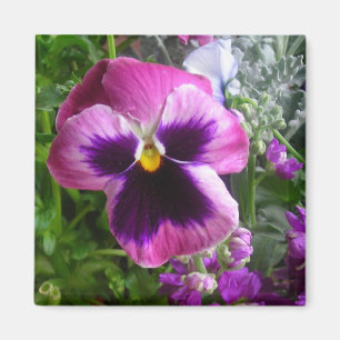 pansy face magnet