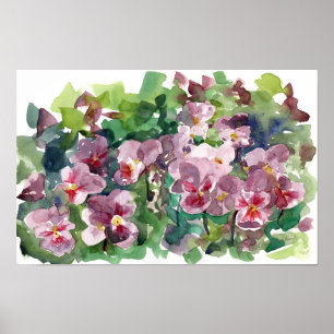 Pansy Flower Garden Burgundy Red Watercolor Poster