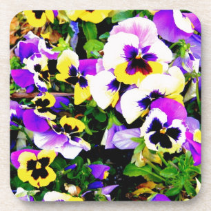 pansy flowers coaster
