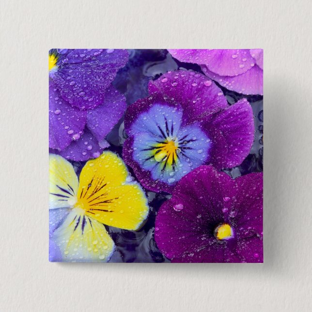 Pansy flowers floating in bird bath with dew 15 cm square badge (Front)