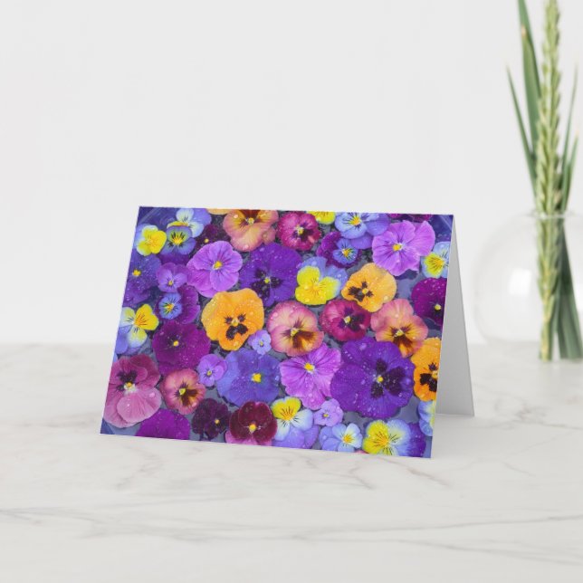 Pansy flowers floating in bird bath with dew card (Front)