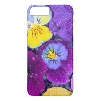 Pansy flowers floating in bird bath with dew
