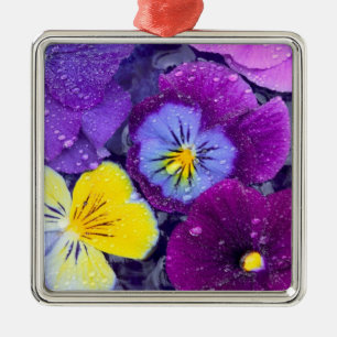Pansy flowers floating in bird bath with dew metal tree decoration