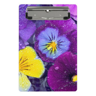 Pansy flowers floating in bird bath with dew mini clipboard