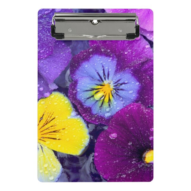 Pansy flowers floating in bird bath with dew mini clipboard (Front)