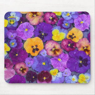 Pansy flowers floating in bird bath with dew mouse mat