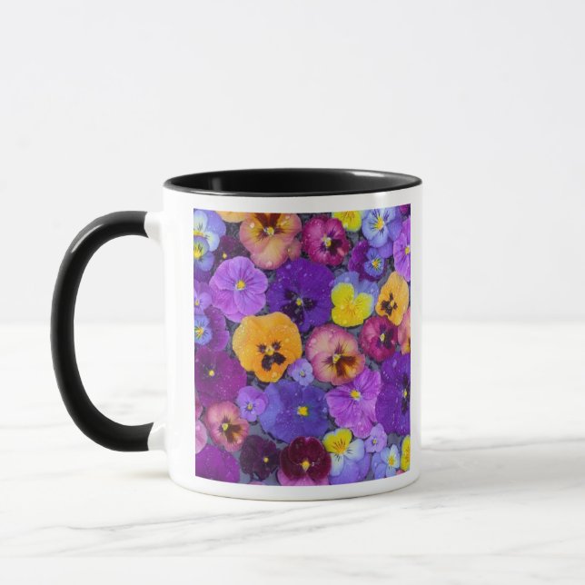 Pansy flowers floating in bird bath with dew mug (Left)