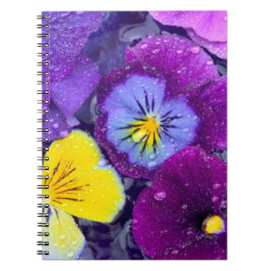 Pansy flowers floating in bird bath with dew notebook