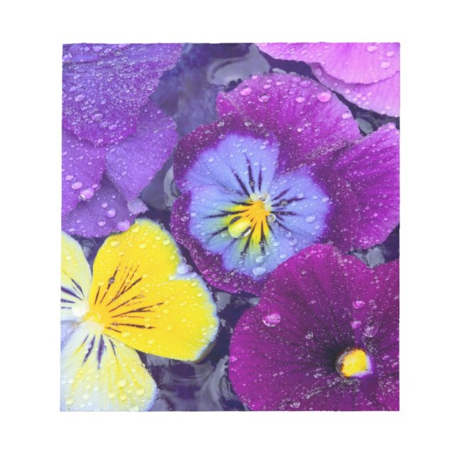 Pansy flowers floating in bird bath with dew notepad (Front)