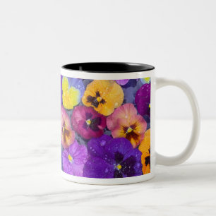 Pansy flowers floating in bird bath with dew Two-Tone coffee mug