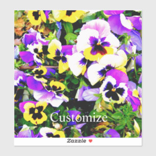 Pansy flowers Thunder_Covecolorful 