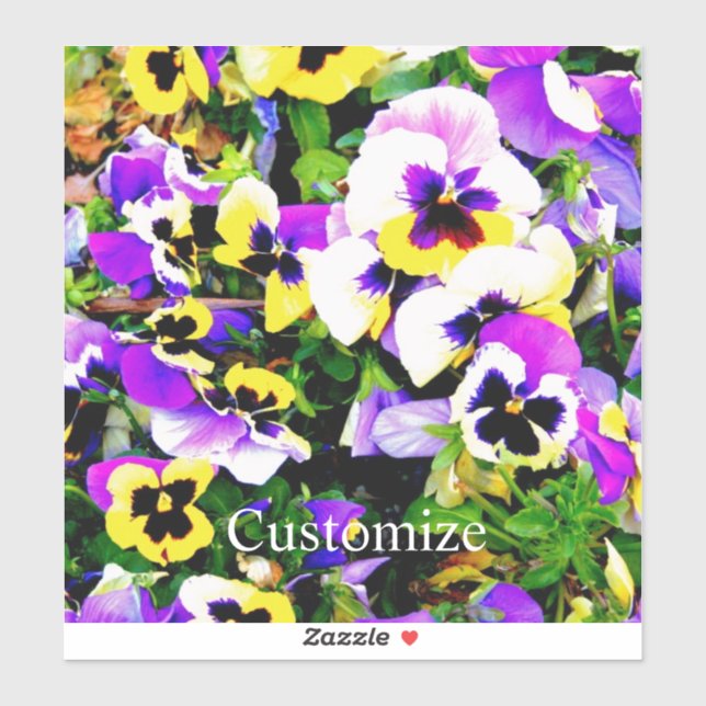 Pansy flowers Thunder_Covecolorful  (Sheet)