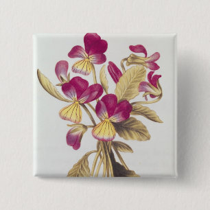 Pansy, from 'La Guirlande de Julie', c.1642 15 Cm Square Badge