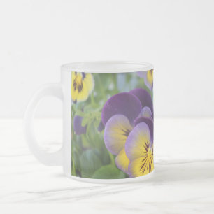 Pansy frosted cup