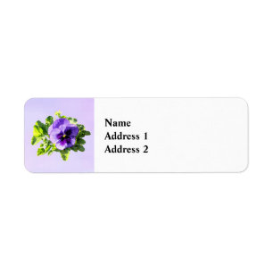 Pansy In Two Shades of Purple
