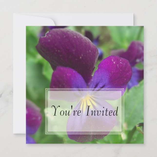 Pansy Invitations (Front)