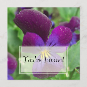 Pansy Invitations