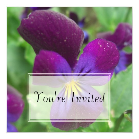 Pansy Invitations