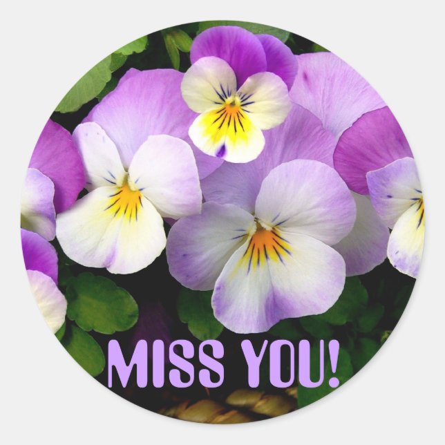 PANSY  "Miss you!" ~ Envelope Sealers Classic Round Sticker (Front)