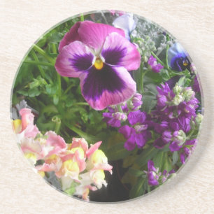 Pansy n' friends coaster