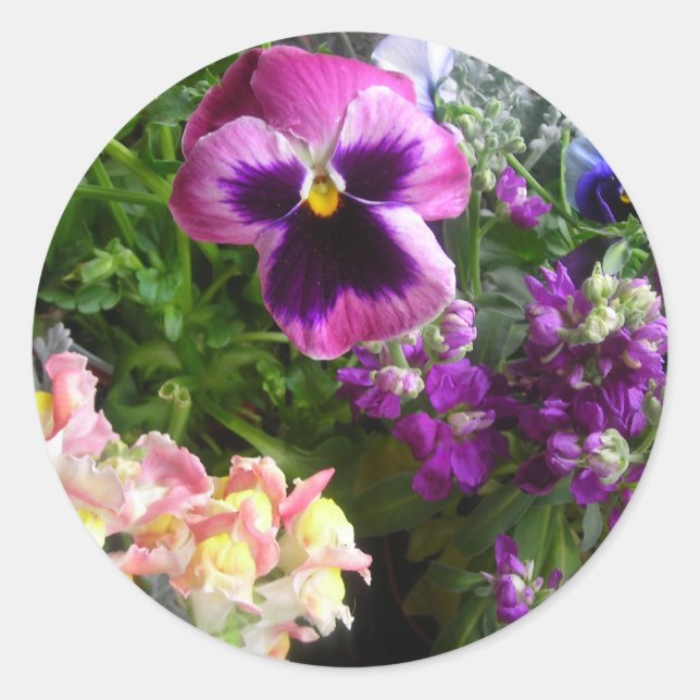 PANSY N FRIENDS STICKERS (Front)