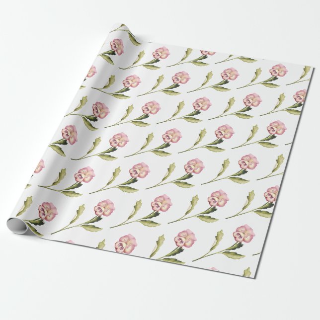Pansy on White Background Wrapping Paper (Unrolled)