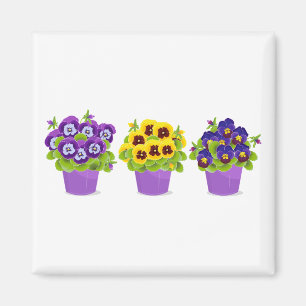 Pansy, Pansies, Garden Magnet