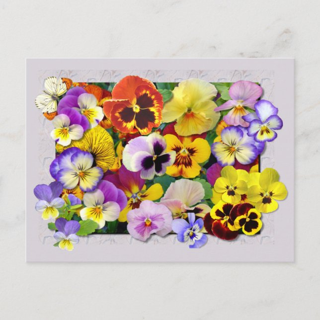 PANSY PATCHWORK POSTCARD (Front)