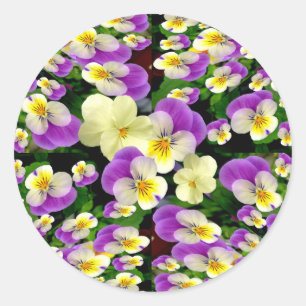 Pansy Perfect ~ Envelope Sealers/Stickers Classic Round Sticker