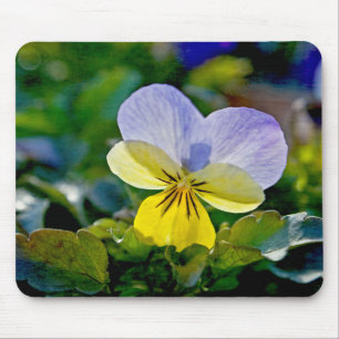 Pansy Perfection Mouse Mat