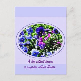 Pansy Postcard