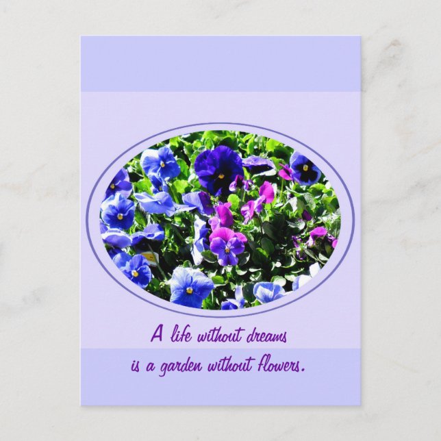 Pansy Postcard (Front)