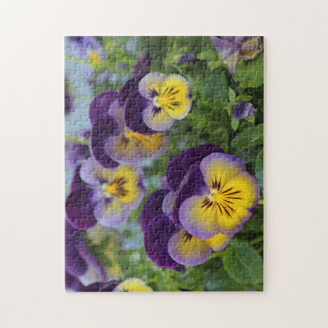 Pansy puzzle (Vertical)