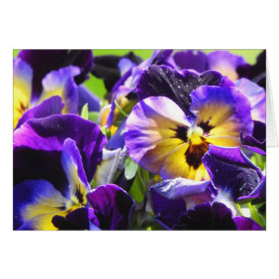 Pansy Small Thank You Cards, Small (4" x 5.6")
