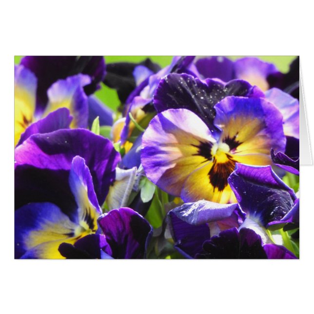 Pansy Small Thank You Cards, Small (4" x 5.6") (Front Horizontal)