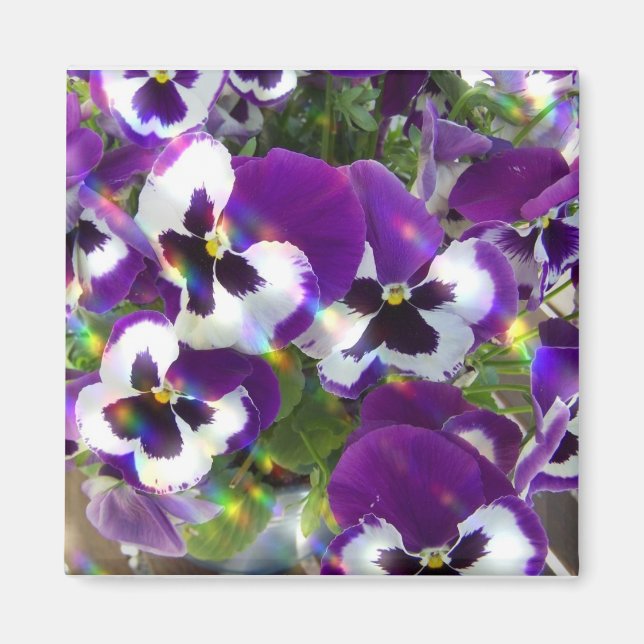 Pansy Square Magnet (Front)