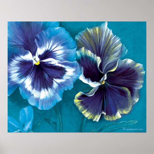 Pansy study fine art floral poster print (Front)
