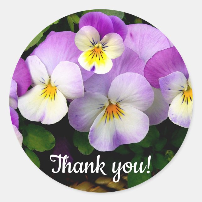 Pansy Thand You Classic Round Sticker (Front)