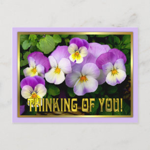 Pansy ~ Thinking of you ~ Postcard