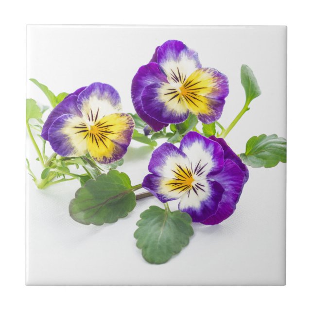 pansy tile (Front)