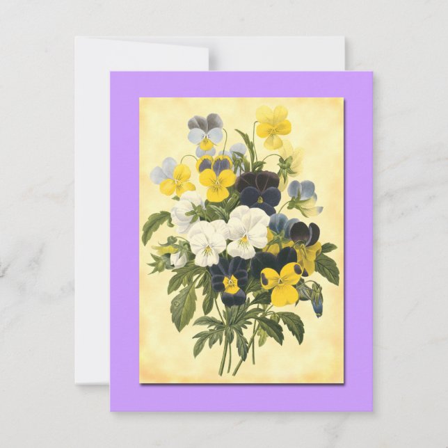 Pansy Violets Blank Botanical Art Cards (Front)