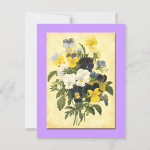 Pansy Violets Blank Botanical Art Cards